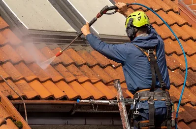 Démoussage et hydrofuge de toiture au Sappey